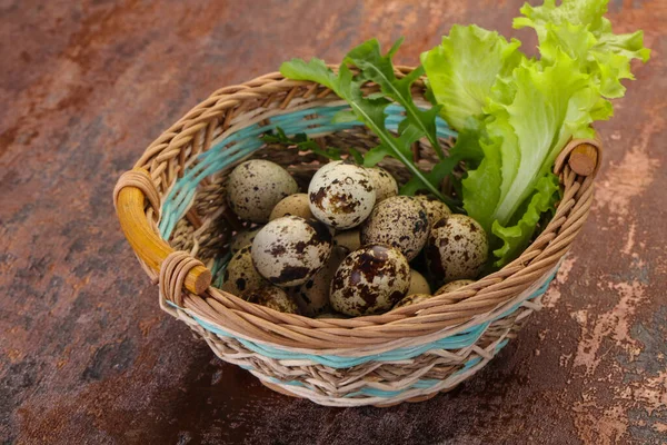 Wachteleier Korb Mit Kräutern — Stockfoto