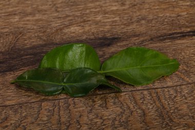 Kafir kireç yaprakları - Asya mutfağı çorba için ek