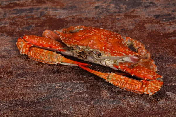 Caranguejo Cozido Delicoso Pronto Para Comer — Fotografia de Stock