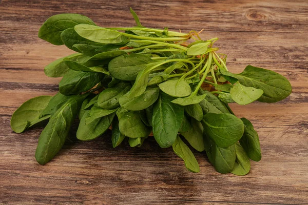 Kuchnia Wegańska Świeże Zielone Liście Szpinaku Stos — Zdjęcie stockowe