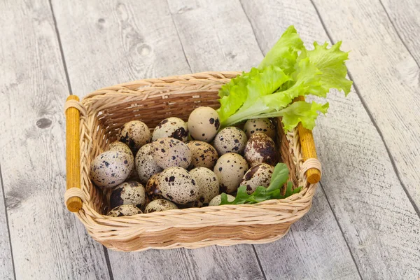 Uova Quaglia Nel Cestino Con Erbe — Foto Stock