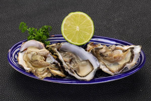 Fresh Oysters Lime Parsley — Stock Photo, Image