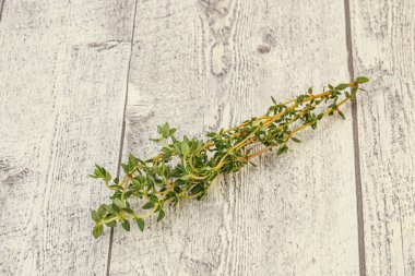 Aroma yiyeceği Taze yeşil kekik dalı