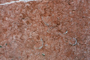 Grange doku arka plan.