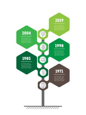 Zaman çizelgesi infographics yeşil renkleri ve altıgen şekillerde