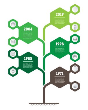 Zaman çizelgesi infographics yeşil renkleri ve altıgen şekillerde