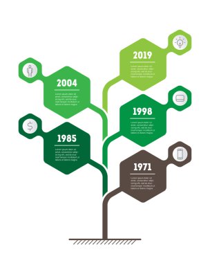 Zaman çizelgesi infographics yeşil renkleri ve altıgen şekillerde