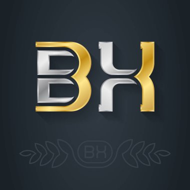 BX harfleri logosu. 3D simge ya da logotype şablonu. Vektör illüstrasyonu