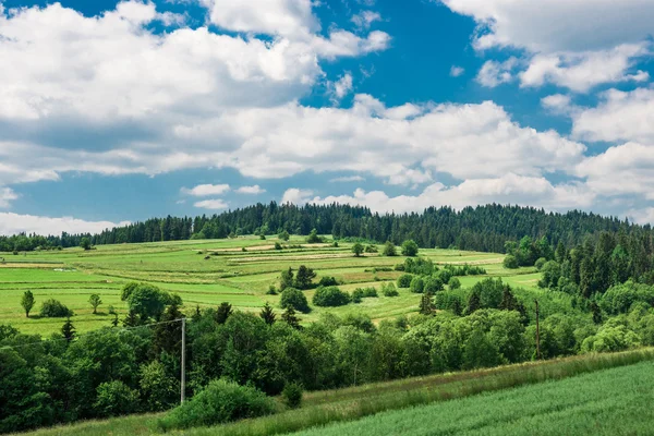 Groene weide onder de wolken — Stockfoto