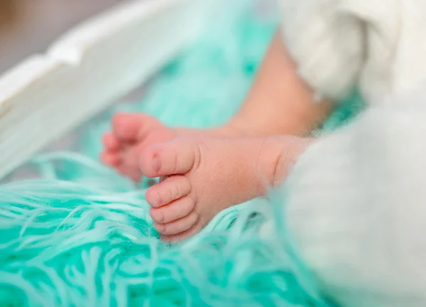 Doce minúsculo recém-nascido pés — Fotografia de Stock