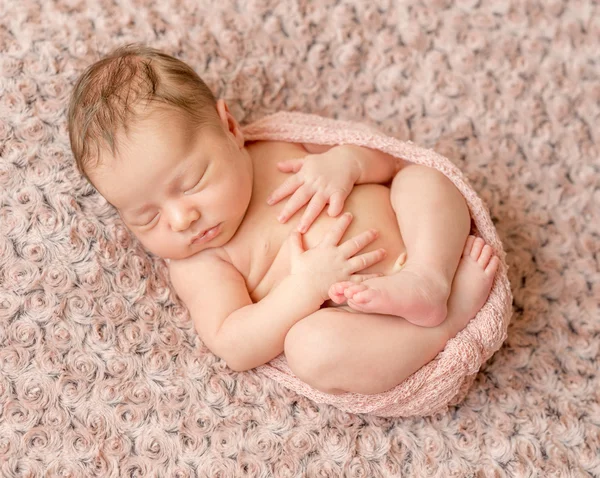 Adorável recém-nascido enrolado até dormir — Fotografia de Stock