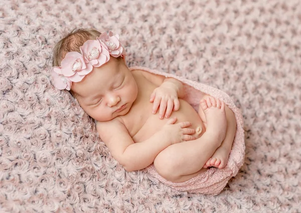 Precioso recién nacido acurrucado dormido —  Fotos de Stock