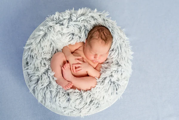 Newborn baby sleeping in basket — Stock Photo, Image