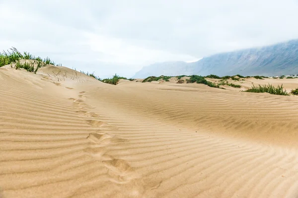 Wunderschöner Blick auf goldenen Sand in der Düne von Lanzarote, Kanarische Insel — Stockfoto