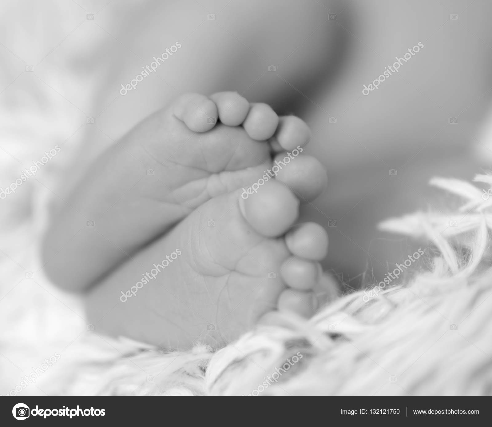 newborn feet photography