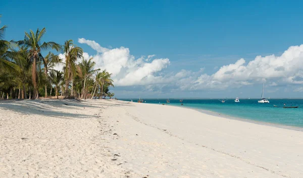Incrível praia africana com palmas — Fotografia de Stock