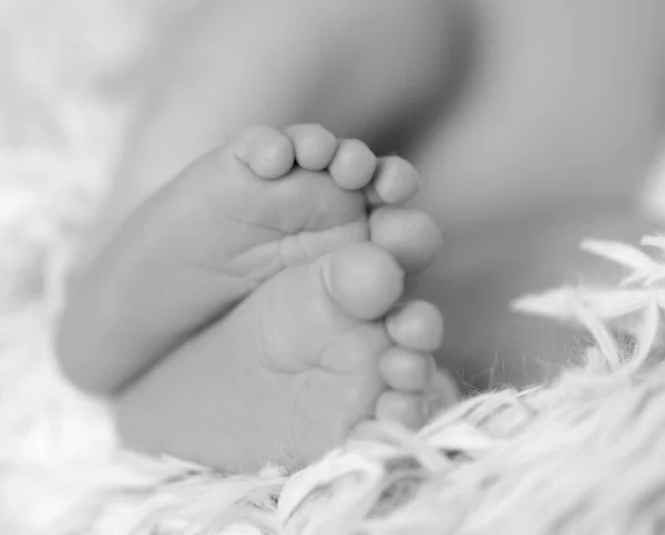 Pies del bebé recién nacido en una manta suave — Foto de Stock