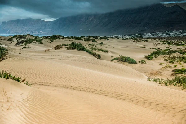 Lanzarote kıyı dune altın kum — Stok fotoğraf
