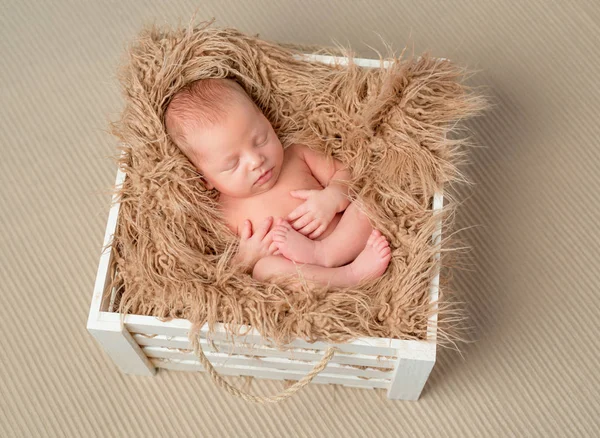 Precioso recién nacido desnudo en caja de madera con manta esponjosa — Foto de Stock
