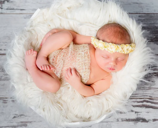 Durmiendo chica recién nacida en cama redonda en pose divertida —  Fotos de Stock