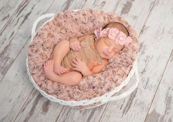 Hermoso recién nacido en cesta con manta esponjosa —  Fotos de Stock