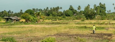 field with man farming in Zanzibar clipart