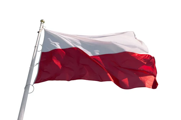 Flagge Polens isoliert — Stockfoto