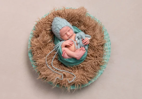 Lovely baby resting in a basket, topview — Stock Photo, Image