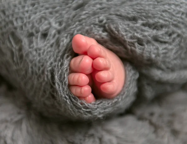 Small toes of an infant, closeup — Stock Photo, Image