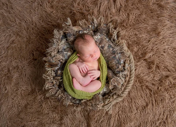 Bebê em uma cesta, topshot — Fotografia de Stock