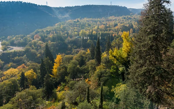 Botanical gardens of Tbilisi, birds-eye view — Stock Photo, Image