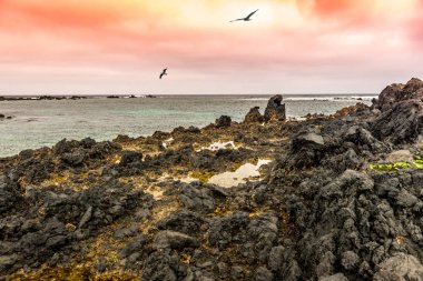 Deniz Lanzarote kıyıdan güzel gün batımı görünümü