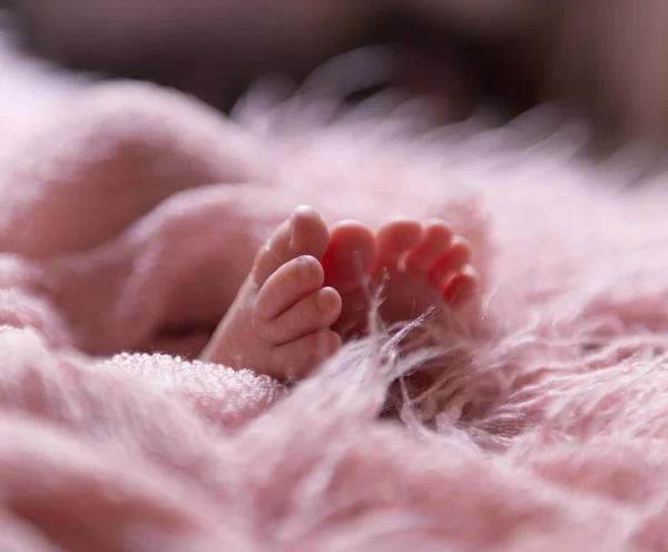 Små spädbarn fötter i fluffig rosa filt — Stockfoto