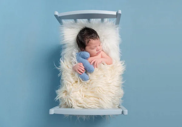 Baby gosa med sin leksak, topview — Stockfoto