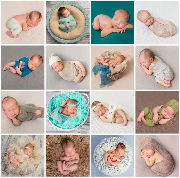 Koláž z fotografií novorozenců — Stock fotografie