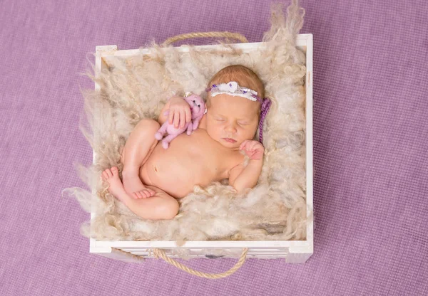 Bebé desnudo durmiendo en caja sobre fondo violeta —  Fotos de Stock