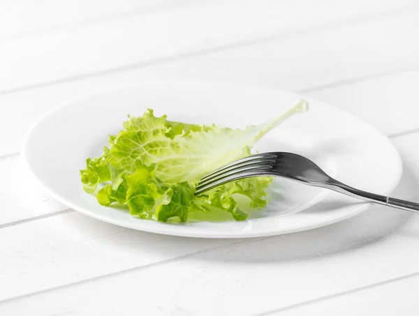 Белая тарелка с листком салата — стоковое фото