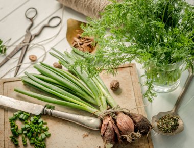 Taze yeşil soğan ve bahar kesmek dereotu, baharatlar