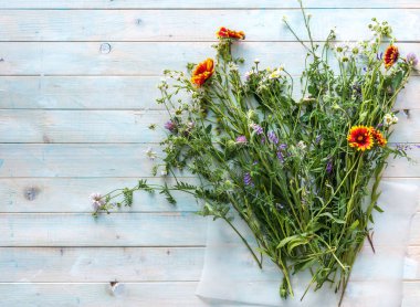 bir alan, boşaltmak, TOPVIEW üzerinden taze kır çiçekleri
