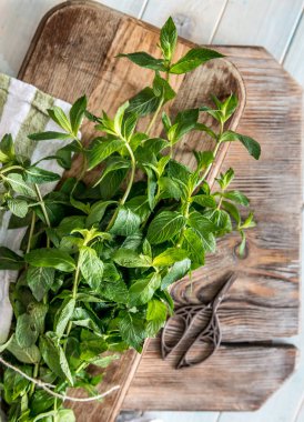 Rustik kesme tahtası ile nane, TOPVIEW bırakır
