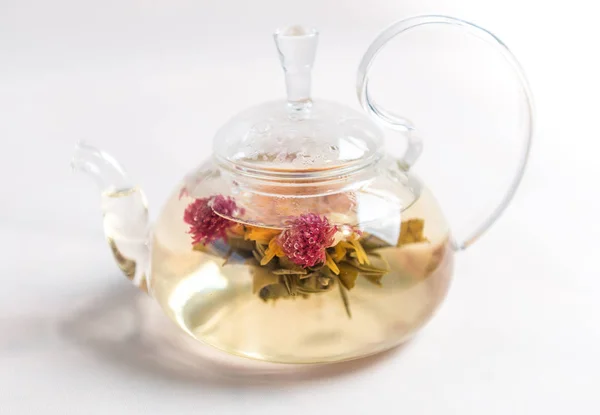 Chá florido ou florescente em bule de vidro — Fotografia de Stock