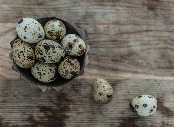 Tiny quail eggs with brown spots, topview — Stock Photo, Image
