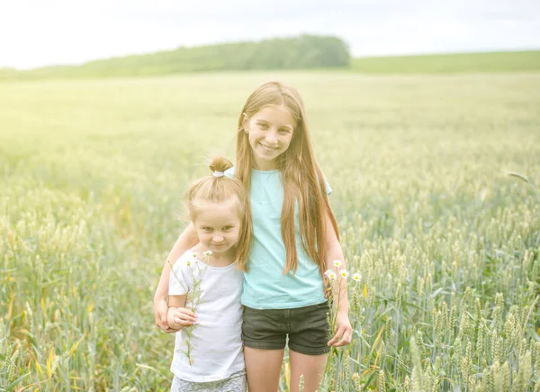 Sibling sisters hugging each in the field — Stock Photo, Image