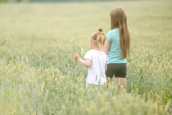 Sisters walking through field, picking flowers, backshot — Stock Photo, Image