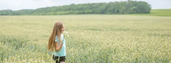 Panoramic shot of a girl in a field — Stock Photo, Image