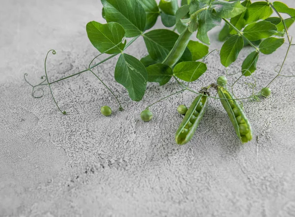 Ervilhas verdes em conchas, agricultura doméstica — Fotografia de Stock