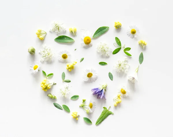 Flores de prado em fundo branco na forma de um coração — Fotografia de Stock