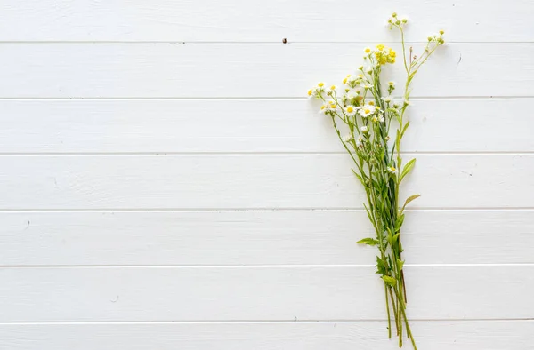 Flores de camomila margarida na mesa de madeira — Fotografia de Stock