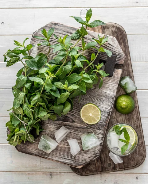 Cubitos de hielo, vaso de mojito refrescante, vista superior —  Fotos de Stock