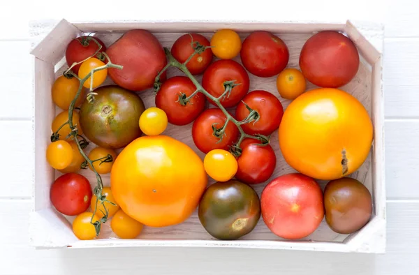 Разнообразие видов помидоров в коробке — стоковое фото